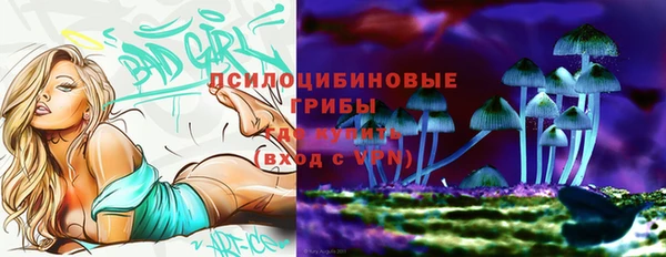 трава Армянск