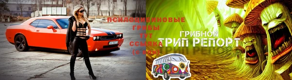 МДМА Арсеньев