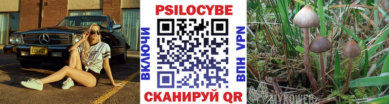 Галлюциногенные грибы мухоморы Купить Оса